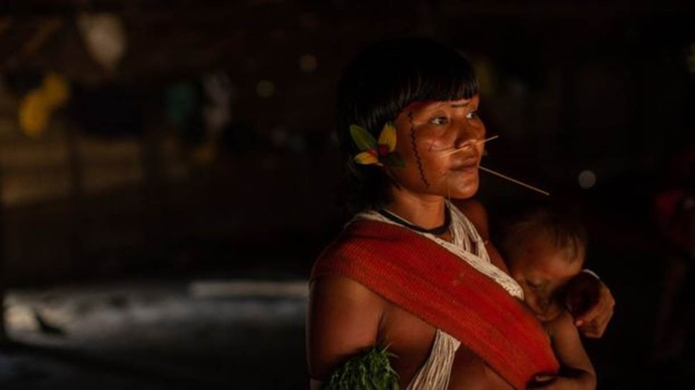 Yanomamis assassinados, mães indígenas sem os corpos de seus filhos e doenças nas Terras Indígenas: consequências do garimpo ilegal em Roraima