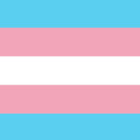 A tarefa feminista na luta pelos direitos das pessoas trans