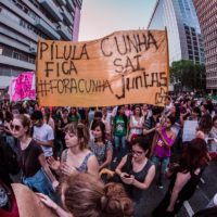 Reflexões sobre a organização do movimento feminista no Brasil